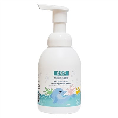 Anti-Bacterial Foaming Hand Wash 400ml